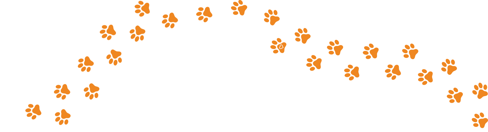 Simba’s Sanctuary Branding