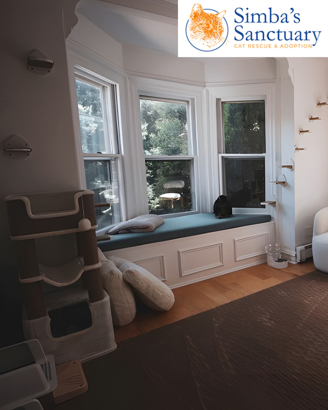 Simba’s Sanctuary Email