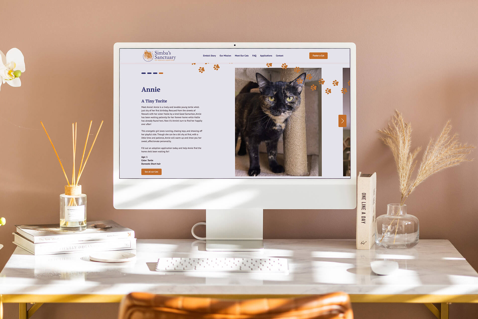 Simba’s Sanctuary Branding